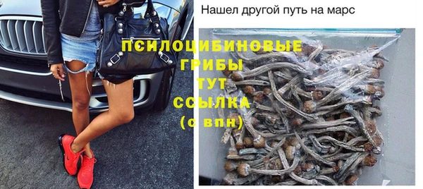 эйфоретик Алексеевка